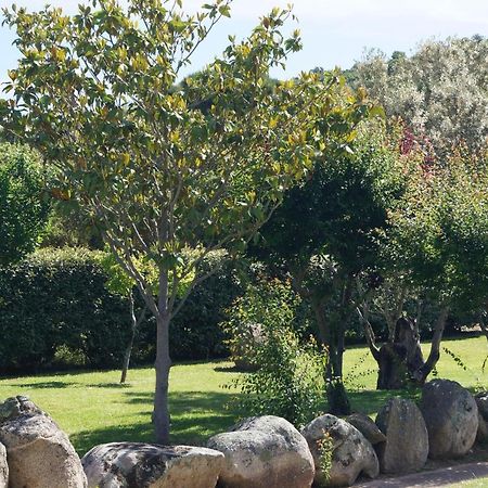 Les Jardins De Santa Giulia - Charmante Chambre D'Hote 维琪奥港 外观 照片
