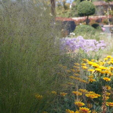 Les Jardins De Santa Giulia - Charmante Chambre D'Hote 维琪奥港 外观 照片