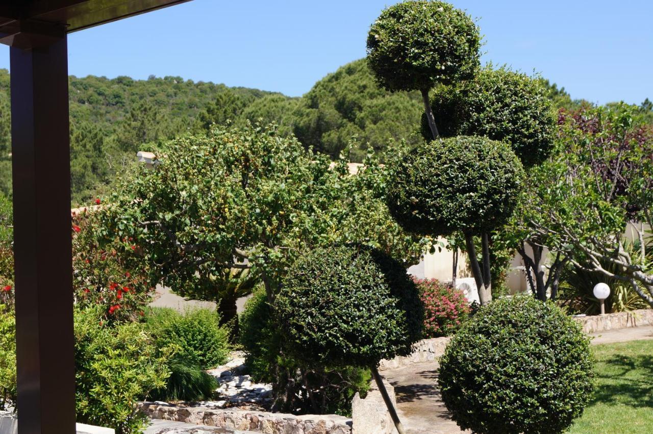Les Jardins De Santa Giulia - Charmante Chambre D'Hote 维琪奥港 外观 照片